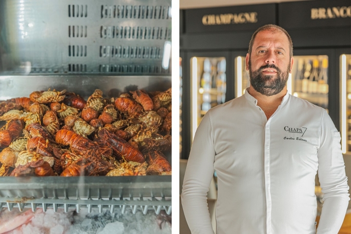 Carlos Esteveles Carlos Esteveles