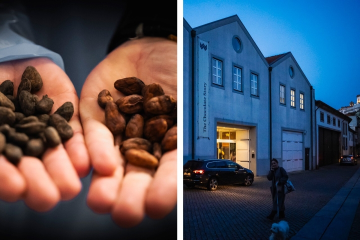 Pedro Martins Araújo mostra grãos de cacau fermentados e secos de duas origens distintas Pedro Martins Araújo mostra grãos de cacau fermentados e secos de duas origens distintas