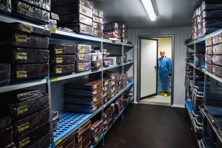 fase do cochagem fase do cochagem