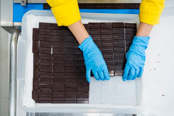 funcionária alinha os carrés de chocolate  funcionária alinha os carrés de chocolate