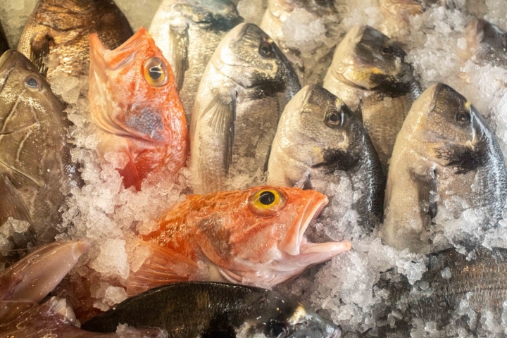 A montra de peixe é renovada todos os dias com peixe desta costa