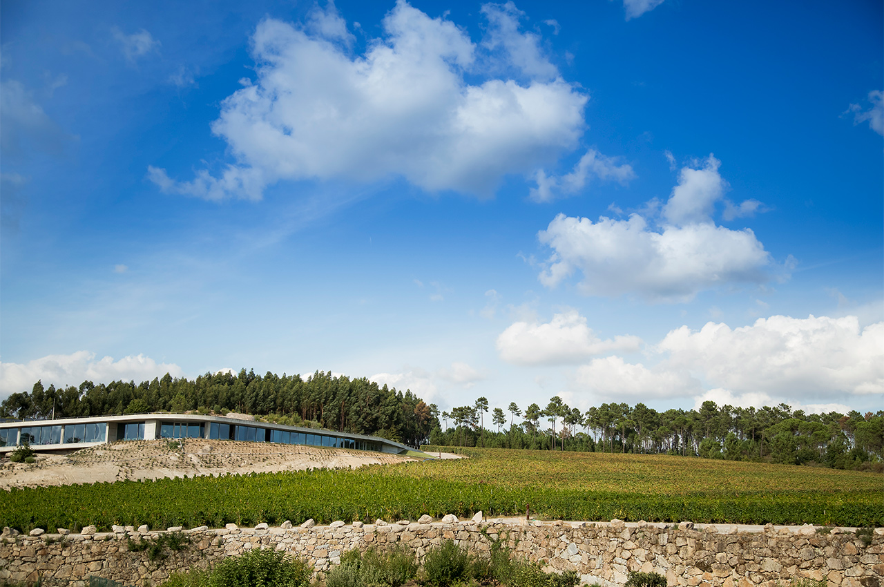 É entre as serras e as vinhas que se ergue o edifício projectado pelo arquitecto Carvalho Araújo É entre as serras e as vinhas que se ergue o edifício projectado pelo arquitecto Carvalho Araújo