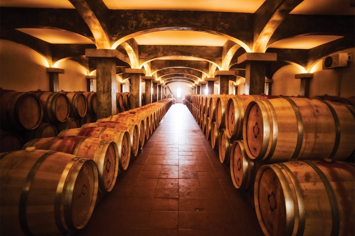 A adega é uma espécie de biblioteca construída no meio de rochas de granito. A adega é uma espécie de biblioteca construída no meio de rochas de granito.