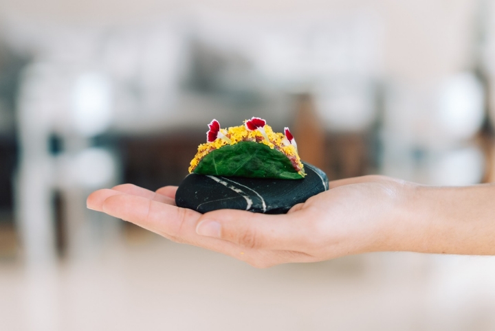 Snack de boi capado galego, capuchinhas e gema curada Snack de boi capado galego, capuchinhas e gema curada