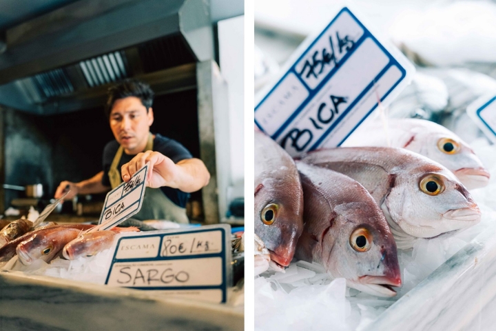 Como na praça, o peixe está numa banca, pronto para ser escolhido Como na praça, o peixe está numa banca, pronto para ser escolhido