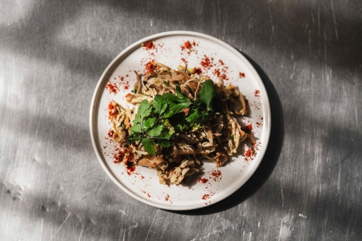 Coelho especial Coelho especial