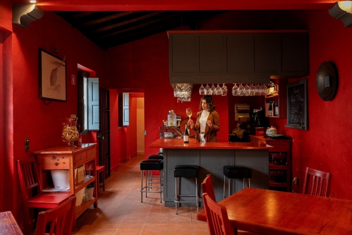 Com visitas a adegas, passeios pelas vinhas, provas, cavalos, lojas e piqueniques, fomos conhecer cinco produtores da região do Tejo.