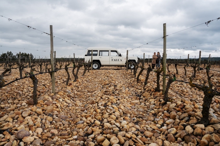 As visitas à Falua começam na Vinha do Convento, a 10 minutos de carro da adega, única no país As visitas à Falua começam na Vinha do Convento, a 10 minutos de carro da adega, única no país