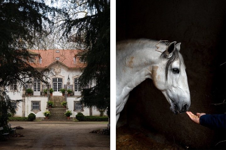 Vinhos do Tejo Vinhos do Tejo