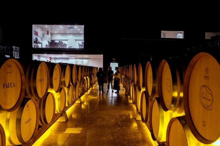 Além do passeio de jipe pelas vinhas, as visitas incluem uma passagem pela sala de barricas, pela adega e pelo laboratório Além do passeio de jipe pelas vinhas, as visitas incluem uma passagem pela sala de barricas, pela adega e pelo laboratório