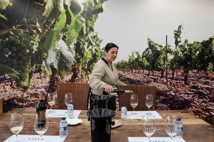 As visitas começam nos 25 euros, com hipótese de provas de três, cinco ou nove vinhos As visitas começam nos 25 euros, com hipótese de provas de três, cinco ou nove vinhos