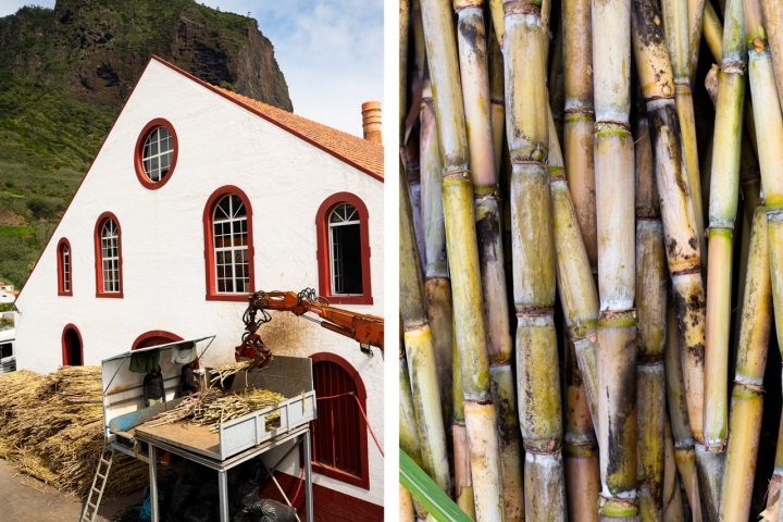 Processamento de cana-de-açúcar na Engenhos do Norte  Processamento de cana-de-açúcar na Engenhos do Norte