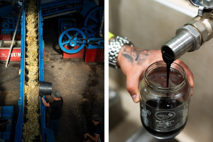 Embalamento do mel de cana, em Ribeiro Sêco, na ilha da Madeira, à direita. Embalamento do mel de cana, em Ribeiro Sêco, na ilha da Madeira, à direita.