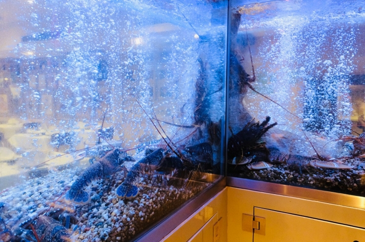 O Solar dos Presuntos é conhecido pela qualidade do marisco fresco  O Solar dos Presuntos é conhecido pela qualidade do marisco fresco