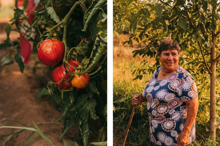 Zulmira Silva foi a vencedora do concurso Tomate Coração de Boi do Douro em 2023. Em 2024, a agricultora da localidade de Arroios, em Vila Real, ficou em segundo lugar Zulmira Silva foi a vencedora do concurso Tomate Coração de Boi do Douro em 2023. Em 2024, a agricultora da localidade de Arroios, em Vila Real, ficou em segundo lugar