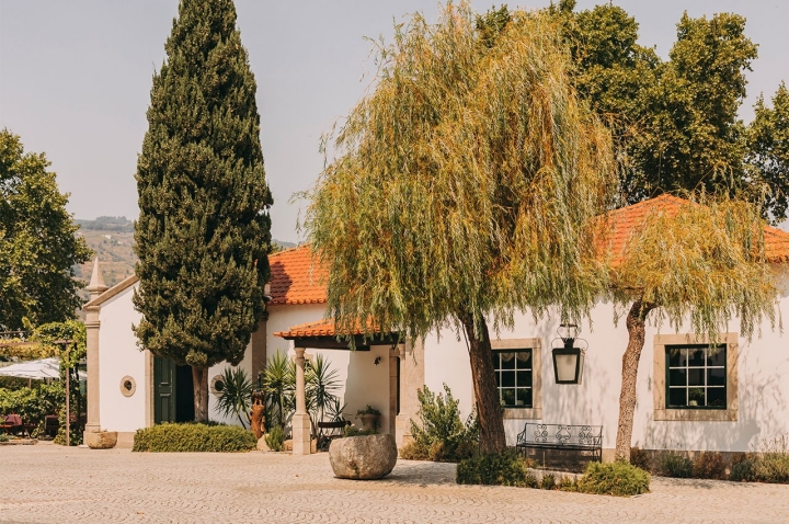 Até ao final do mês, poderá provar pratos exclusivos em vários restaurantes aderentes da região. No restaurante da Quinta da Pacheca, há um menu inteiro dedicado ao Tomate Coração de Boi do Douro (€40 por pessoa) Até ao final do mês, poderá provar pratos exclusivos em vários restaurantes aderentes da região. No restaurante da Quinta da Pacheca, há um menu inteiro dedicado ao Tomate Coração de Boi do Douro (€40 por pessoa)