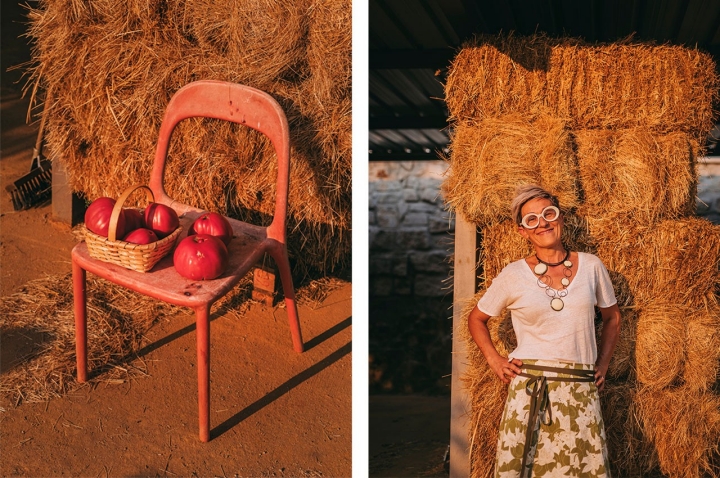 Celeste Pereira é a mentora do concurso que já leva 10 edições. Os dias quentes e as noites frias ajudam o tomate a desenvolver os aromas e a textura correcta. Já os solos xistosos do Douro, mantêm as raízes hidratadas, sem encharcar Celeste Pereira é a mentora do concurso que já leva 10 edições. Os dias quentes e as noites frias ajudam o tomate a desenvolver os aromas e a textura correcta. Já os solos xistosos do Douro, mantêm as raízes hidratadas, sem encharcar