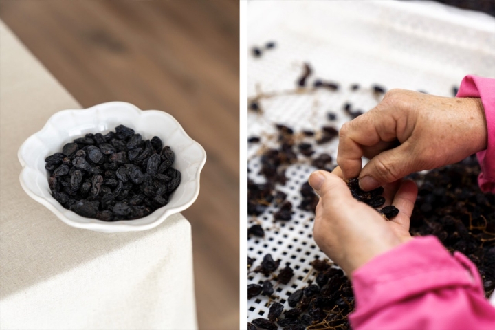 bol de pasas y manos manipulando pasas bol de pasas y manos manipulando pasas