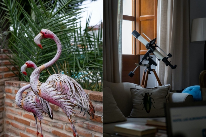 Vários detalhes da decoração do jardim e do interior do hotel Vários detalhes da decoração do jardim e do interior do hotel