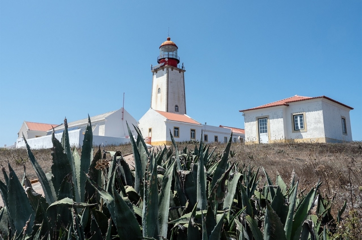 Entre as caminhadas disponíveis, se fizer o percurso da Berlenga, o mais longo, de 3,3 quilómetros, vai passar pelo planalto onde está instalado o farol Entre as caminhadas disponíveis, se fizer o percurso da Berlenga, o mais longo, de 3,3 quilómetros, vai passar pelo planalto onde está instalado o farol
