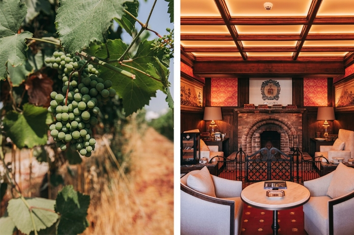 Pode fazer uma visita às vinhas e fiar a conhecer melhor os vinhos produzidos pela Casa da Calçada numa experiência que dura cerca de duas horas Pode fazer uma visita às vinhas e fiar a conhecer melhor os vinhos produzidos pela Casa da Calçada numa experiência que dura cerca de duas horas