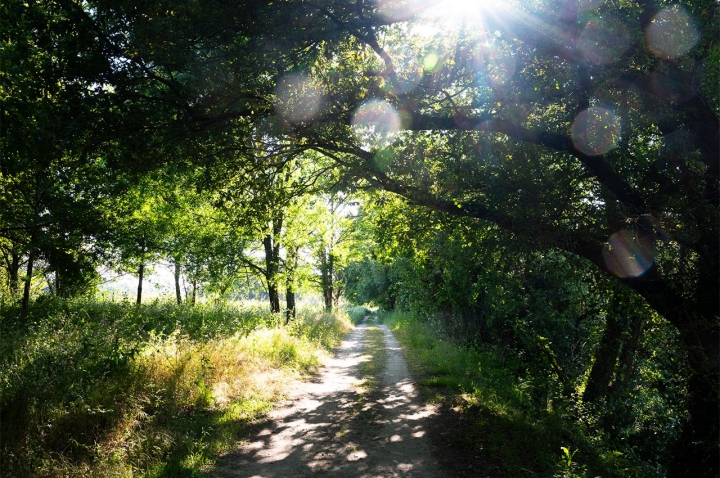 A Ecovia que passa pela Praia Fluvial Gemieira, em Ponte de Lima A Ecovia que passa pela Praia Fluvial Gemieira, em Ponte de Lima