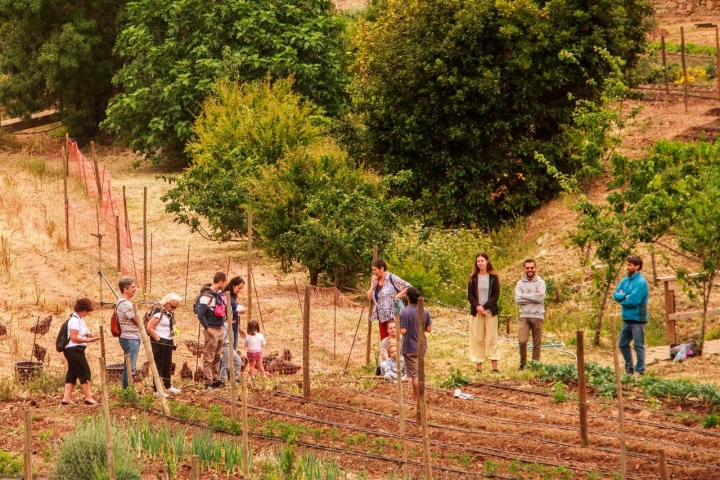 A Festa dos Maios, em Cascais A Festa dos Maios, em Cascais