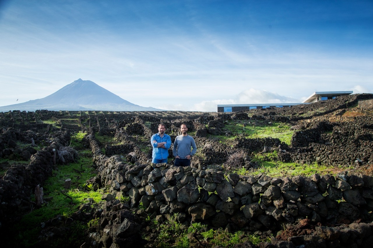 Azores Wine Company e os novos vinhos antigos do Pico