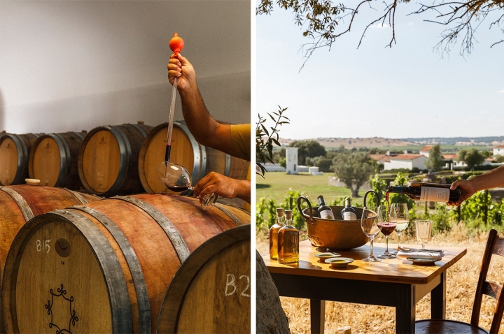 Pode experimentar ser enólogo durante algumas horas no São Loureço do Barrocal, em Monsaraz Pode experimentar ser enólogo durante algumas horas no São Loureço do Barrocal, em Monsaraz