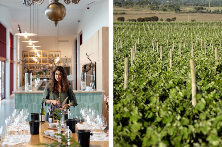 A Adega Vicentino foi inaugurada no final de 2024 A Adega Vicentino foi inaugurada no final de 2024