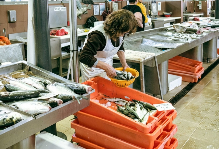O mercado está bem vivo e este é algum do melhor peixe que se pode encontrar no Algarve interior O mercado está bem vivo e este é algum do melhor peixe que se pode encontrar no Algarve interior
