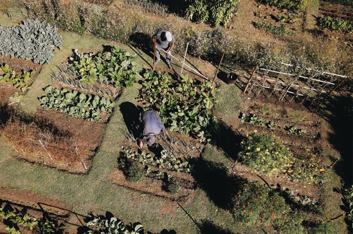 A horta fornece o restaurante, mesmo ali ao lado  A horta fornece o restaurante, mesmo ali ao lado