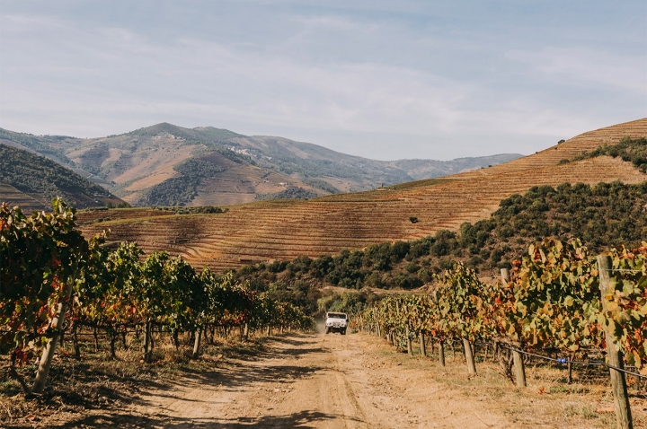 O passeio de jipe pela propriedade é uma das atividades disponibilizadas pela Quinta do Ventozelo  O passeio de jipe pela propriedade é uma das atividades disponibilizadas pela Quinta do Ventozelo
