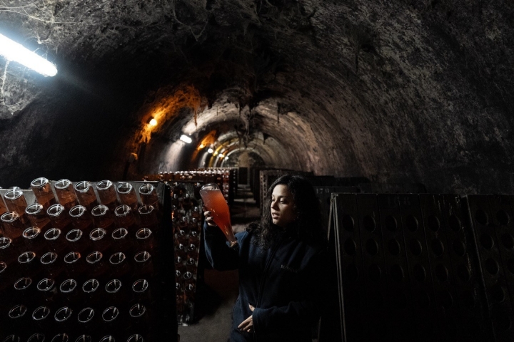 cata de vino cata de vino