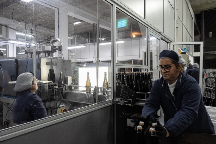 operario trabajando en fábrica de envasado de vinos operario trabajando en fábrica de envasado de vinos