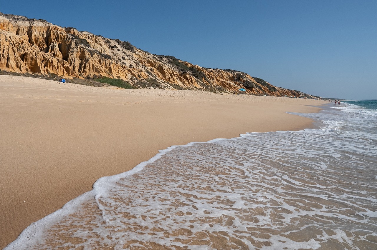Está na moda e com razão: um roteiro para descobrir a Comporta e  Melides