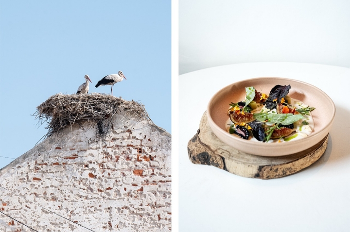 As habitantes mais conhecidas da Comporta, à esquerda, e ajo blanco com alho francês braseado e figos, à direita, uma das novidades do verão do Cavalariça. As habitantes mais conhecidas da Comporta, à esquerda, e ajo blanco com alho francês braseado e figos, à direita, uma das novidades do verão do Cavalariça.