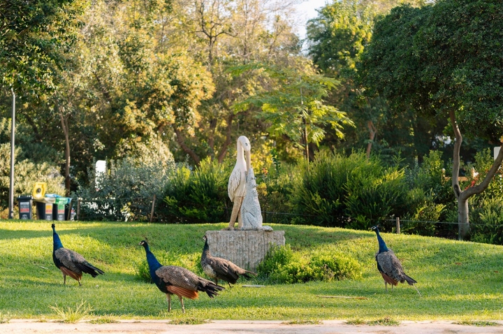 O The Modernist é uma relíquia da arquitectura modernista dos anos 70 O The Modernist é uma relíquia da arquitectura modernista dos anos 70