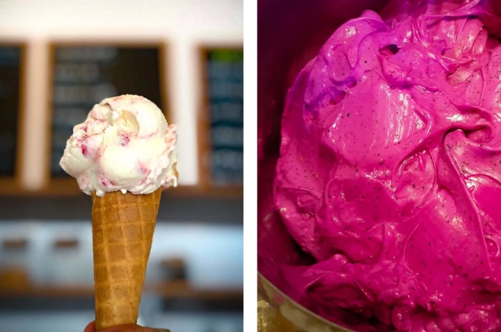 Os gelados artesanais do Gula Food Lab (©Gula Food Lab) Os gelados artesanais do Gula Food Lab (©Gula Food Lab)