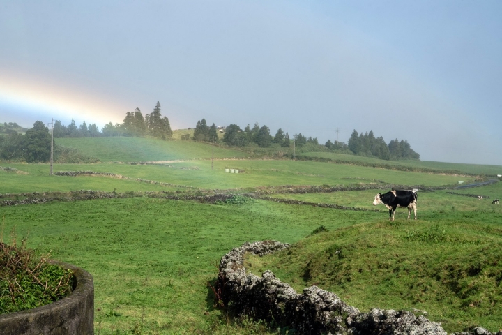 O Senhora da Rosa fica a quatro quilómetros de Ponta Delgada, em São Miguel, Açores
