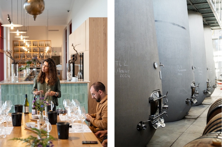 A nova Adega Vicentino foi inaugurada no final de 2024. As provas começam nos 20 euros A nova Adega Vicentino foi inaugurada no final de 2024. As provas começam nos 20 euros