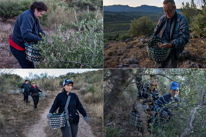 Los jornaleros son vecinos de la zona de Mancha Real, y algunos viven todo el año en el cortijo.