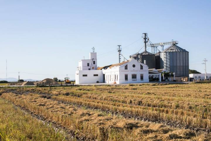 La Finca Estell y sus arrozales, en época de arado, en las inmediaciones de la laguna de L'Albufera.