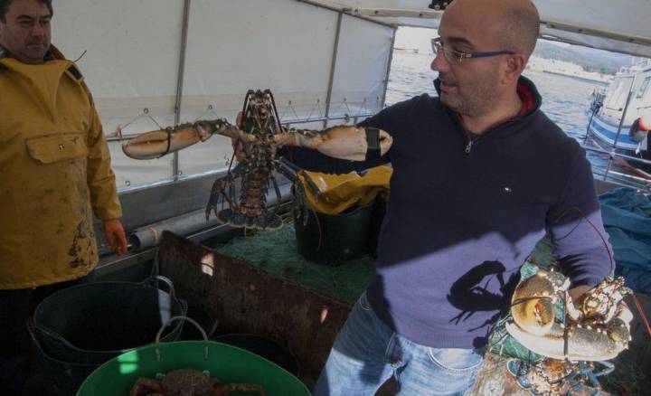 Captura artesanal del bogavante, uno de los mariscos más apreciados de Galicia. Foto: Artesans da Pesca