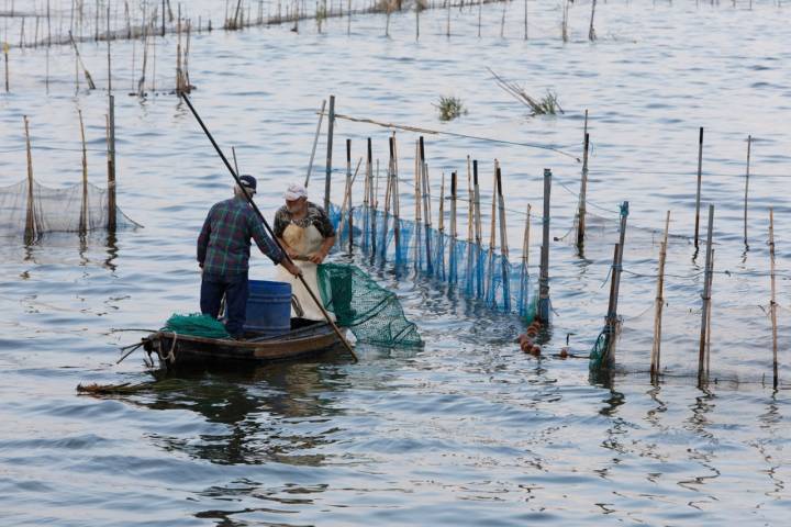 Pescador Albufera Valencia