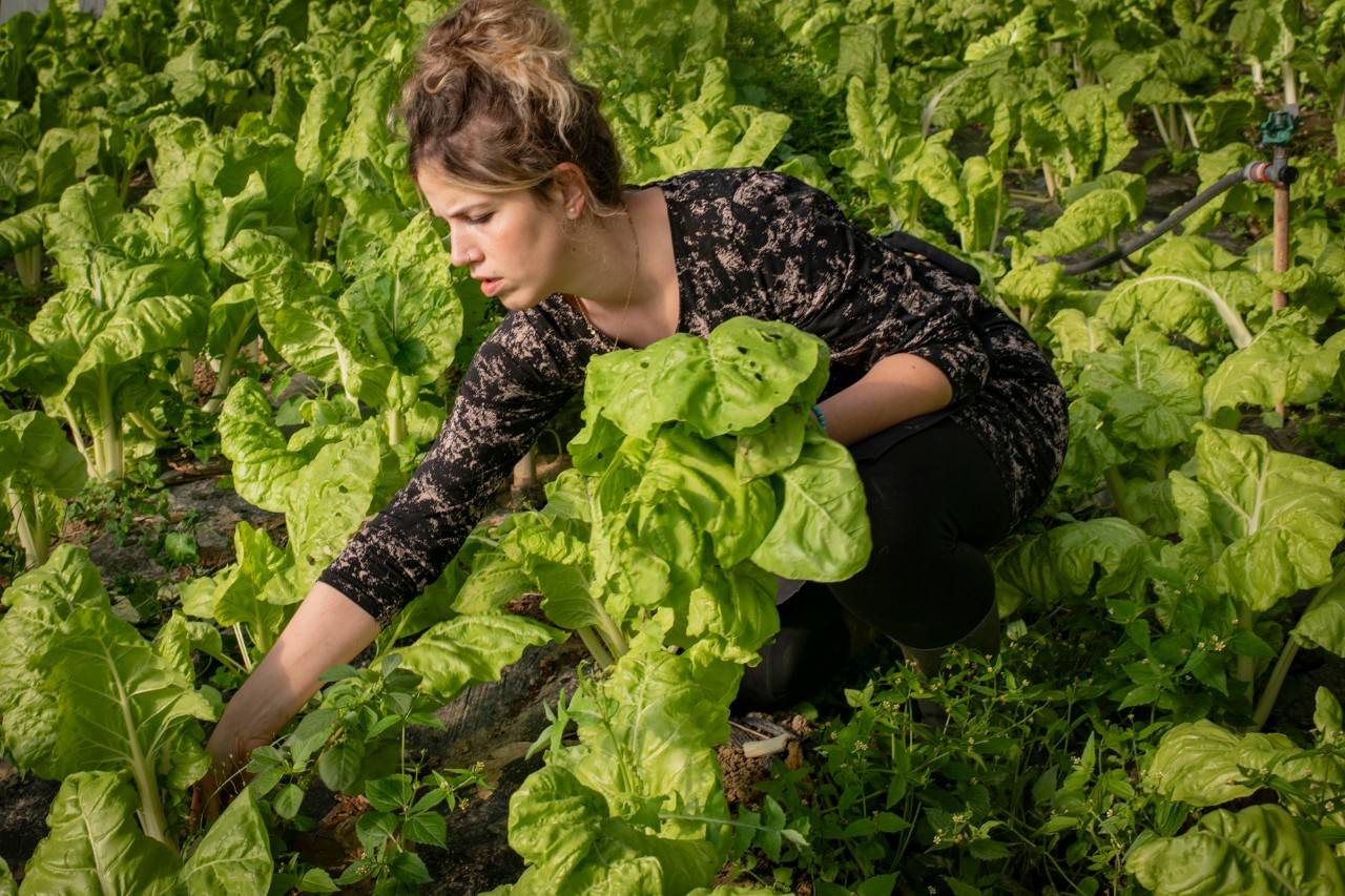 La horticultora enamorada de sus verduras