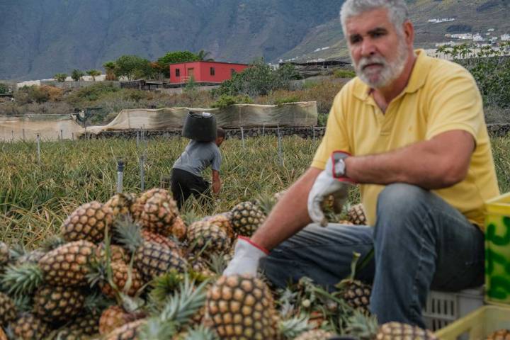 Águedo se encarga de preparar la fruta en el camión para que esté lista para entregarla en la cooperativa