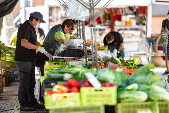 El campo mallorquín: despachando fruta en el mercadillo de Andratx