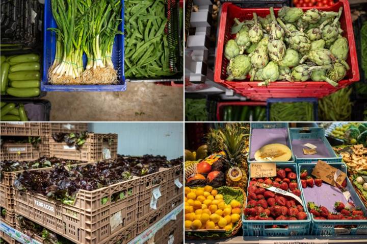 El campo mallorquín: productos de la huerta