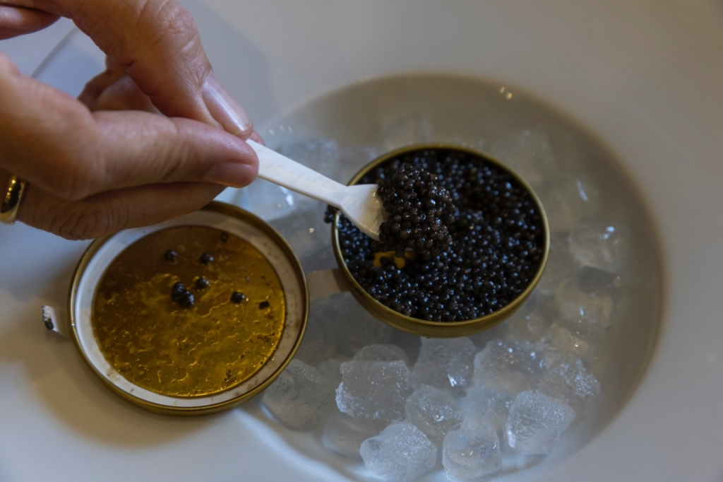 El caviar que nace en la montaña de Teruel para volar hasta Qatar